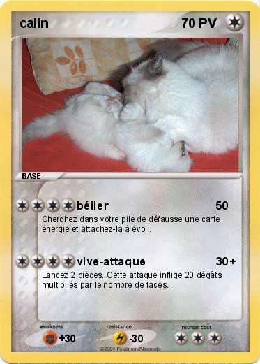 Pokemon calin