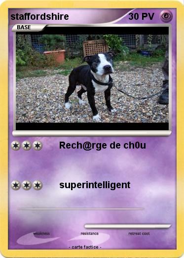 Pokemon staffordshire