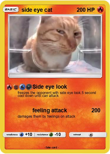Pokemon side eye cat