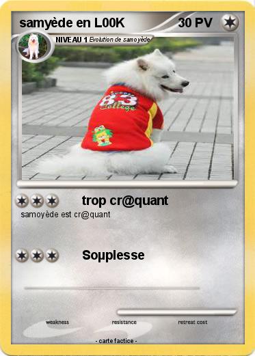 Pokemon samyède en L00K