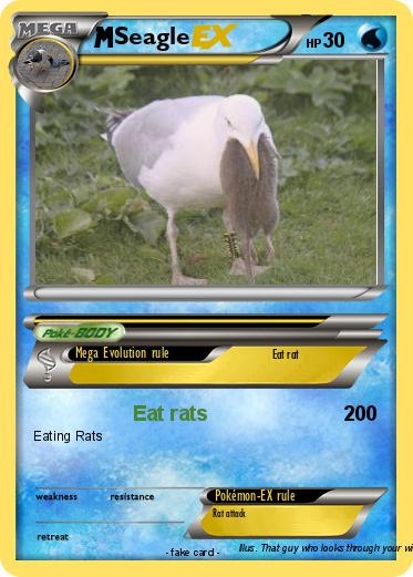 Pokemon Seagle