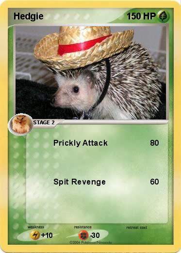 Pokemon Hedgie