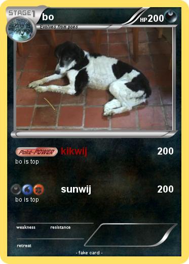 Pokemon bo