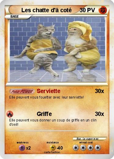 Pokemon Les chatte d'â coté