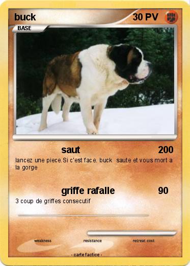 Pokemon buck