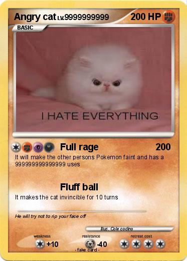 Pokemon Angry cat