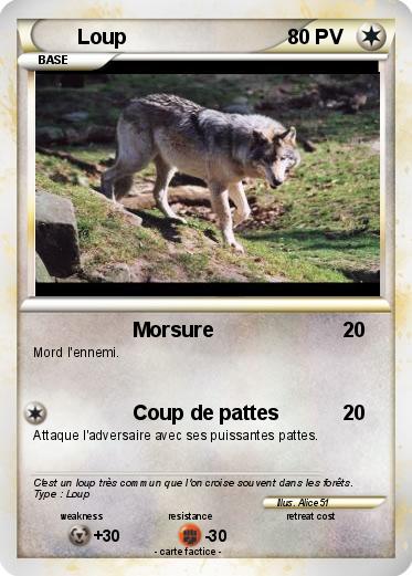 Pokemon Loup