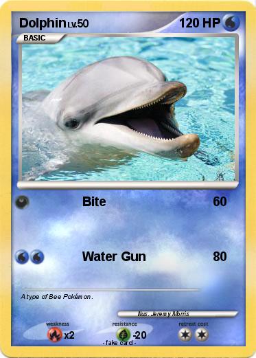Pokemon Dolphin