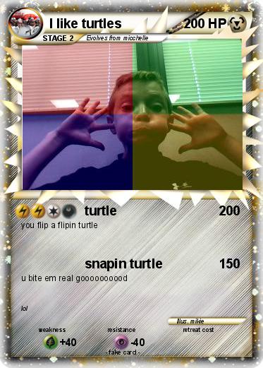 Pokemon I like turtles