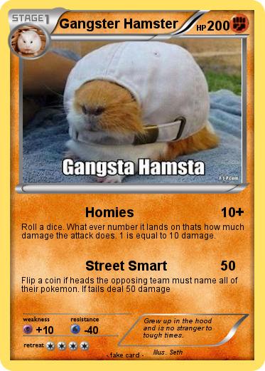 Pokemon Gangster Hamster
