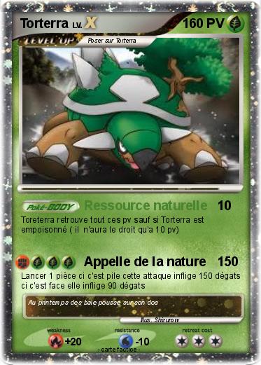 Pokemon Torterra