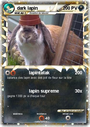 Pokemon dark lapin