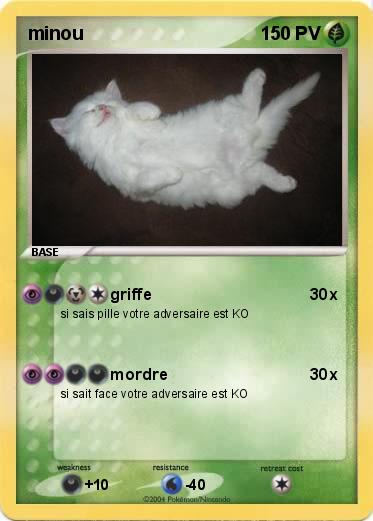 Pokemon minou