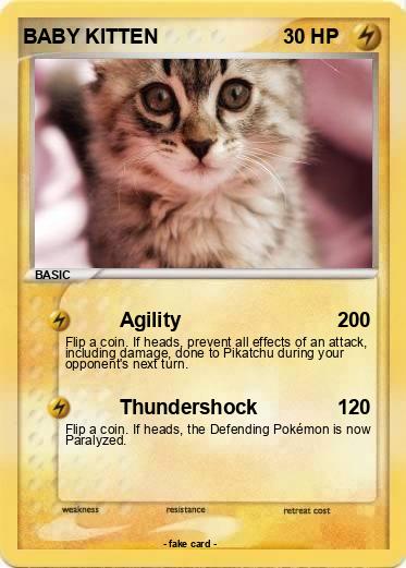 Pokemon BABY KITTEN