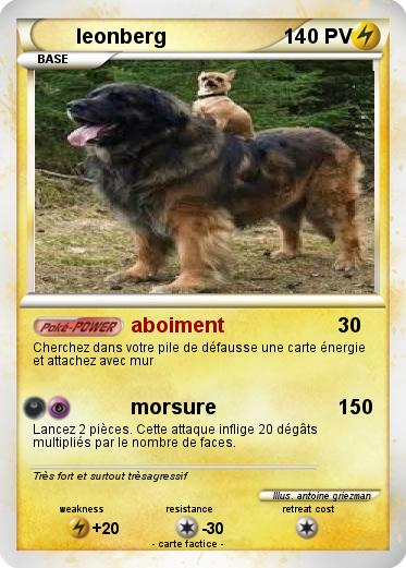Pokemon leonberg