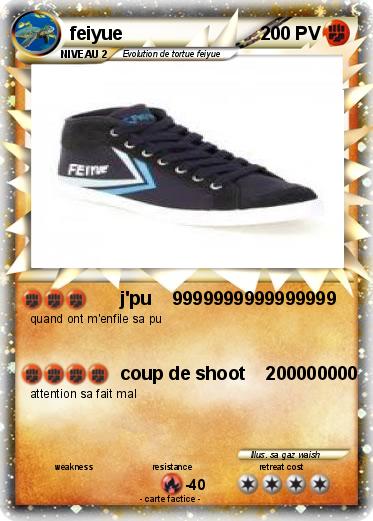Pokemon feiyue