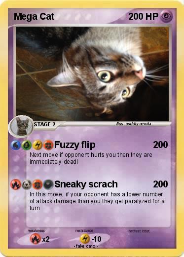 Pokemon Mega Cat