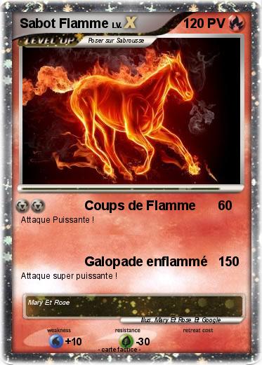 Pokemon Sabot Flamme