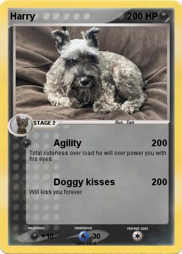Pokemon Harry