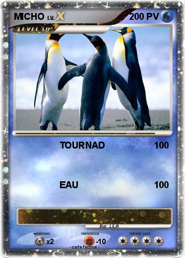 Pokemon MICHO