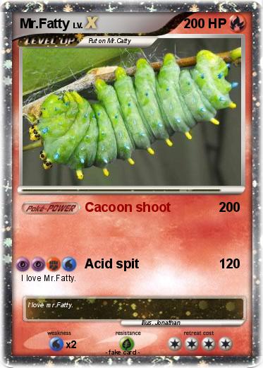 Pokemon Mr.Fatty