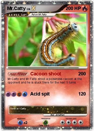 Pokemon Mr.Catty