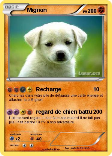 Pokemon Mignon