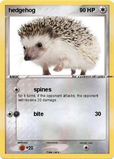 Pokemon hedgehog