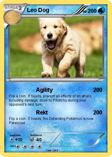 Pokemon Leo Dog
