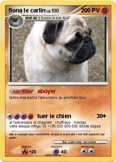 Pokemon fiona le carlin