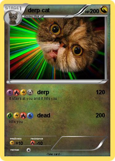 Pokemon derp cat