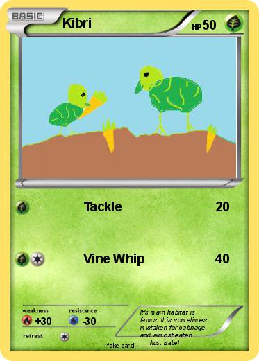Pokemon Kibri