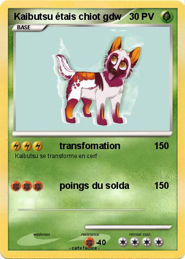 Pokemon Kaibutsu étais chiot gdw