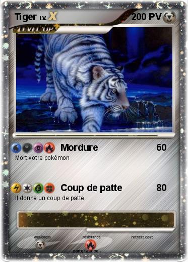 Pokemon Tiger