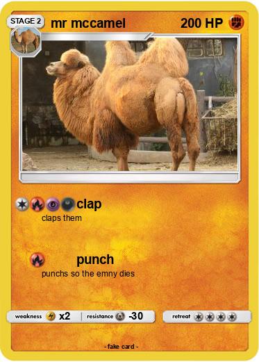 Pokemon mr mccamel