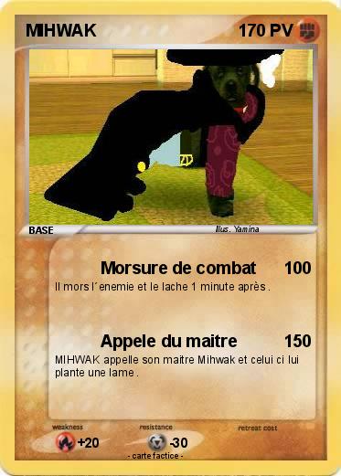 Pokemon MIHWAK