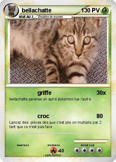 Pokemon bellachatte