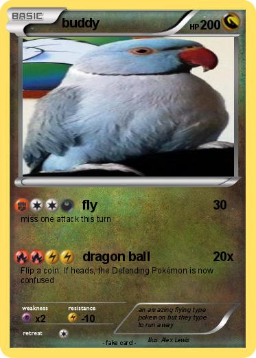 Pokemon buddy
