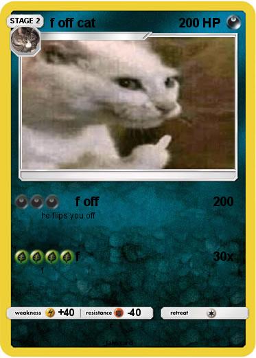 Pokemon f off cat