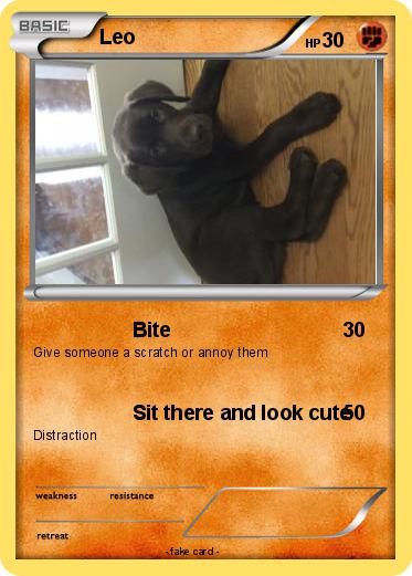 Pokemon Leo