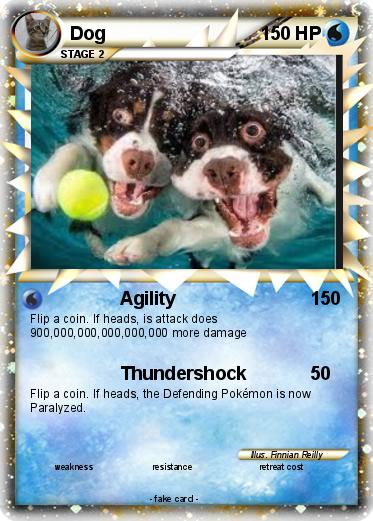 Pokemon Dog