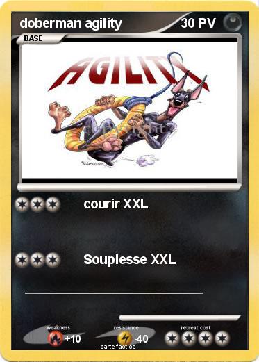 Pokemon doberman agility