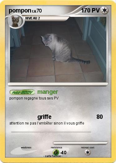 Pokemon pompon
