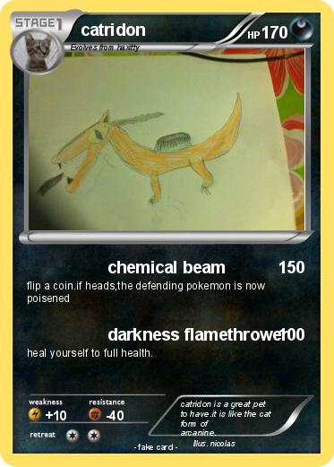 Pokemon catridon