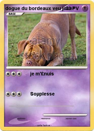Pokemon dogue du bordeaux veu jouer