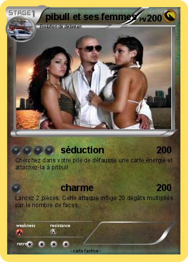 Pokemon pibull et ses femmes