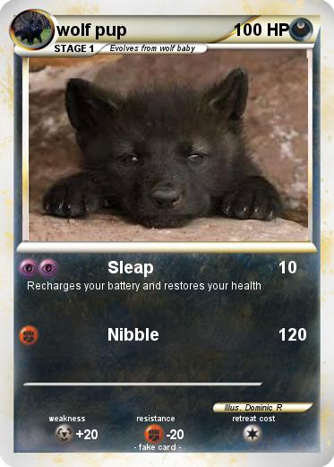 Pokemon wolf pup