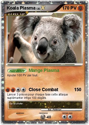 Pokemon Koala Plasma