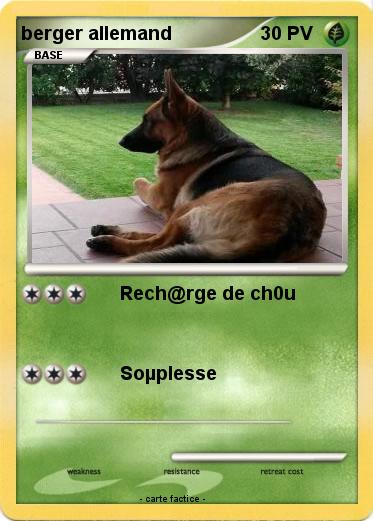 Pokemon berger allemand