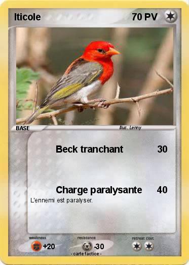 Pokemon Iticole
